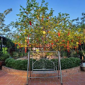 Ngọc Linh homestay